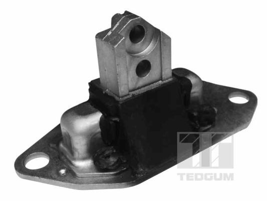 TEDGUM 00745688 Mounting, engine