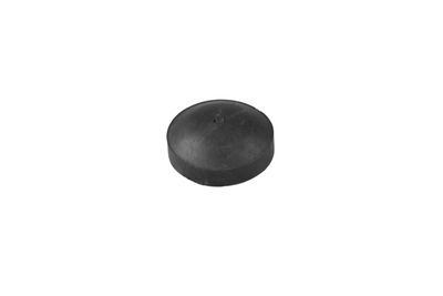 Seal Ring TEDGUM 00787089