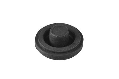 Seal Ring TEDGUM 00787731