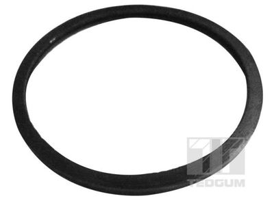 Seal Ring TEDGUM 00796162