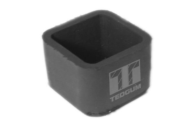 TEDGUM 00822910 Ladder