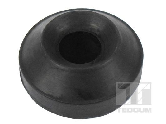 TEDGUM 00996880 Mounting, control/trailing arm