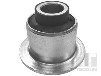 Mounting, leaf spring TEDGUM 01104798