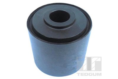 Mounting, control/trailing arm TEDGUM 01133649