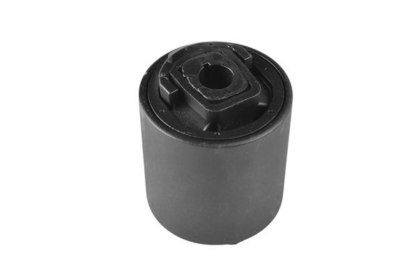 TEDGUM 01140853 Mounting, leaf spring