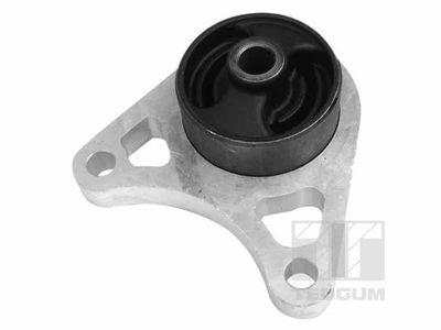 Mounting, differential TEDGUM 01164615