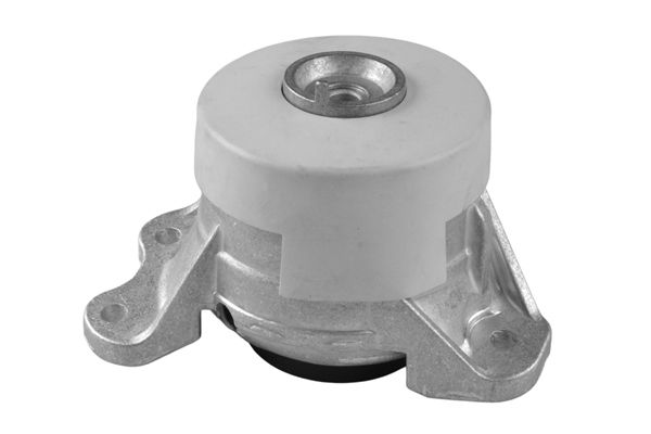TEDGUM TED11398 Mounting, engine
