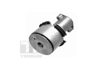 Bushing, axle beam TEDGUM TED12041