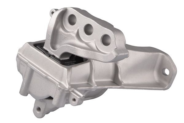 TEDGUM TED12210 Mounting, engine