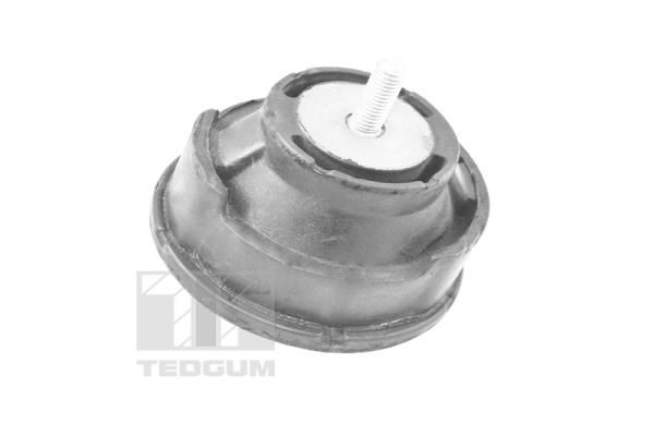 TEDGUM TED12723 Mounting, engine