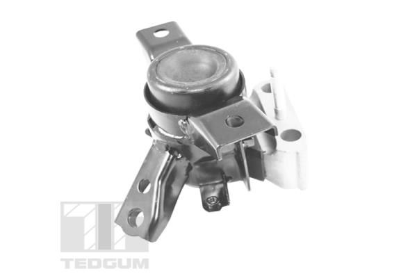 TEDGUM TED13922 Mounting, engine