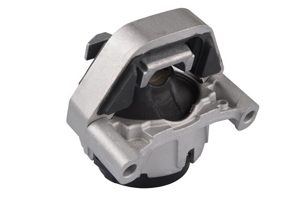 TEDGUM TED14398 Mounting, engine