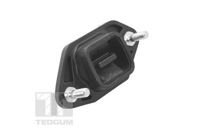 Mounting, engine TEDGUM TED14845