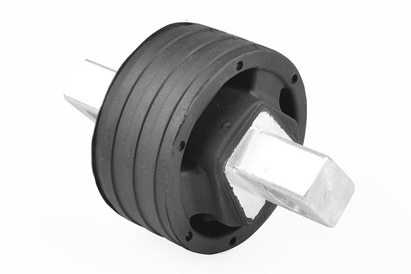 TEDGUM TED15462 Mounting, engine