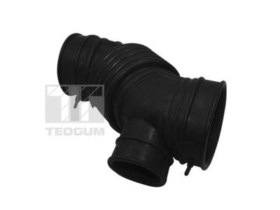 Intake Hose, air filter TEDGUM TED16220