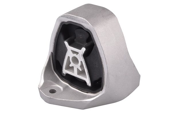 TEDGUM TED22185 Mounting, engine