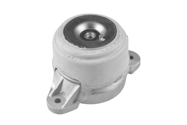 TEDGUM TED23591 Mounting, engine