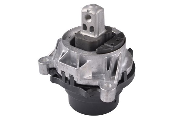 TEDGUM TED25318 Mounting, engine