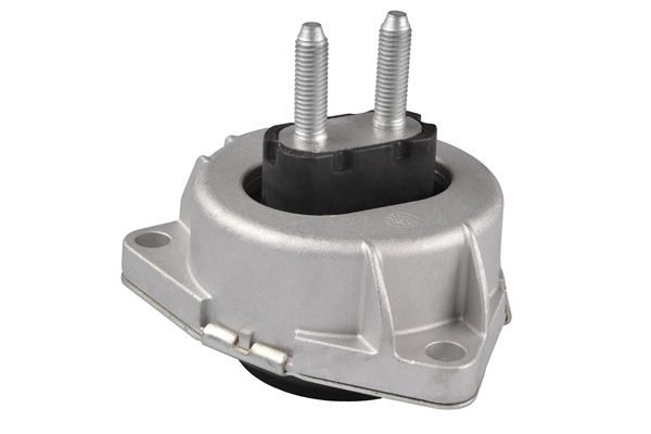 TEDGUM TED25518 Mounting, engine