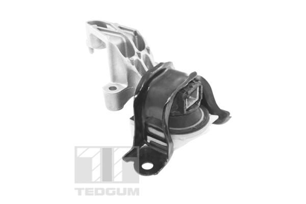 TEDGUM TED25761 Mounting, engine
