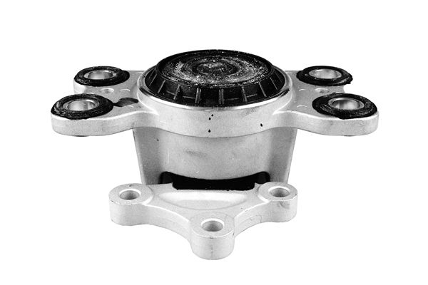 TEDGUM TED32739 Mounting, engine