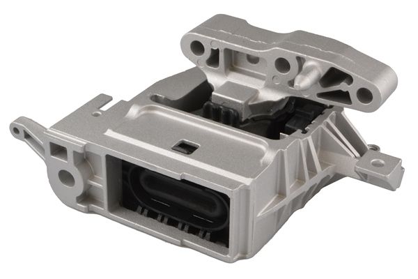 TEDGUM TED34979 Mounting, engine