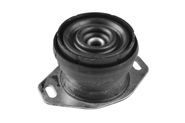 TEDGUM TED36590 Mounting, engine