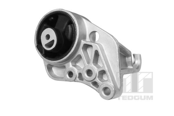 TEDGUM TED36922 Mounting, engine