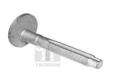 Screw TEDGUM TED39597