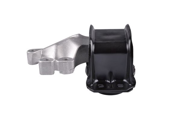 TEDGUM TED40006 Mounting, engine