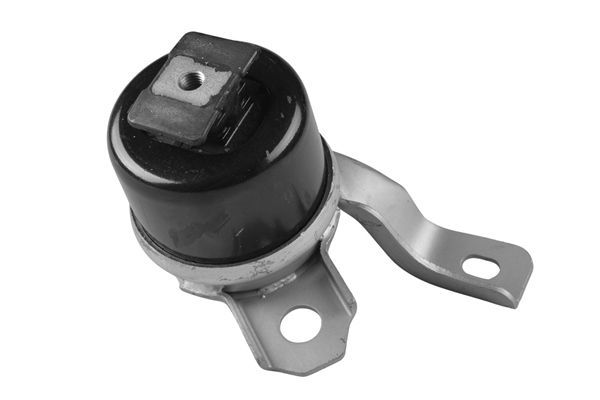 TEDGUM TED40730 Mounting, engine