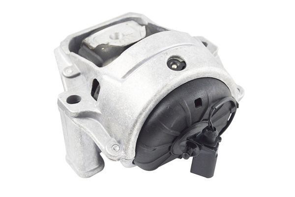 TEDGUM TED40903 Mounting, engine