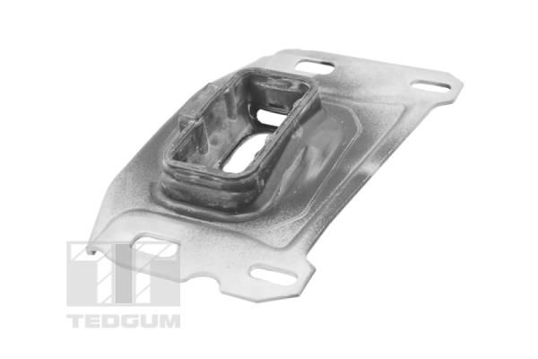 TEDGUM TED41199 Mounting, engine