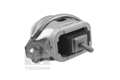Mounting, engine TEDGUM TED44341