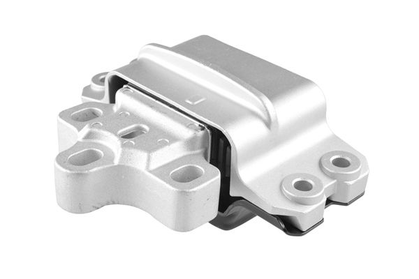 TEDGUM TED46010 Mounting, engine