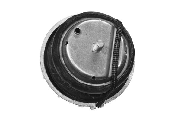 TEDGUM TED46098 Mounting, engine