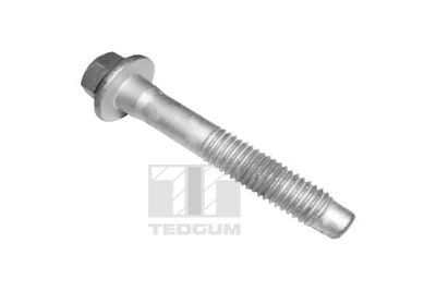 Screw TEDGUM TED46565