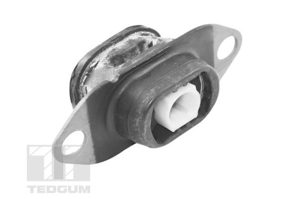 TEDGUM TED46913 Mounting, engine