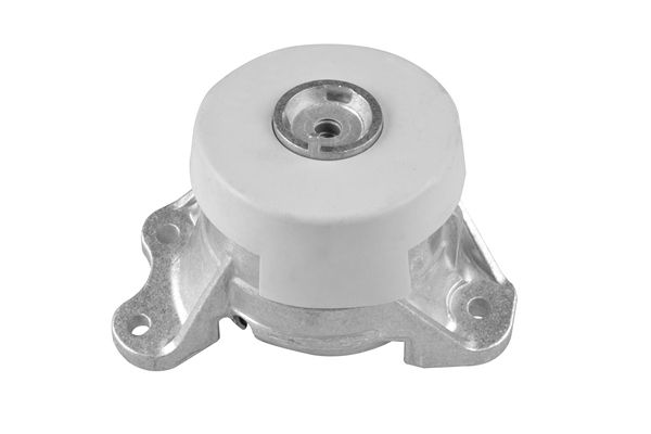 TEDGUM TED49389 Mounting, engine