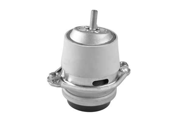 TEDGUM TED50099 Mounting, engine