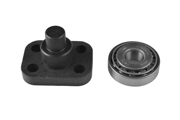 TEDGUM TED52917 Repair Kit, steering knuckle