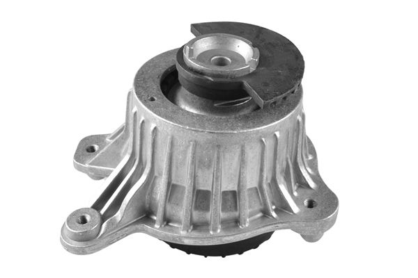 TEDGUM TED53873 Mounting, engine