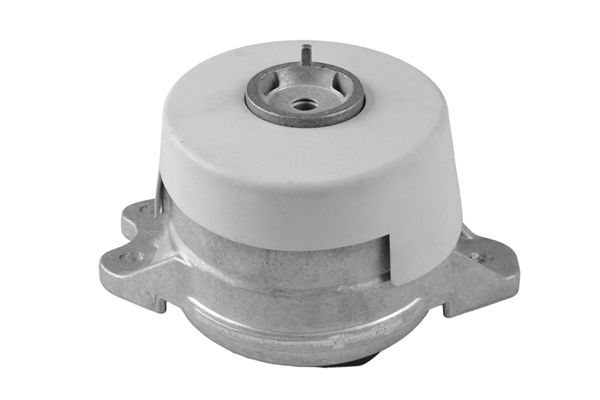 TEDGUM TED54263 Mounting, engine