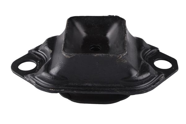 TEDGUM TED55030 Mounting, engine