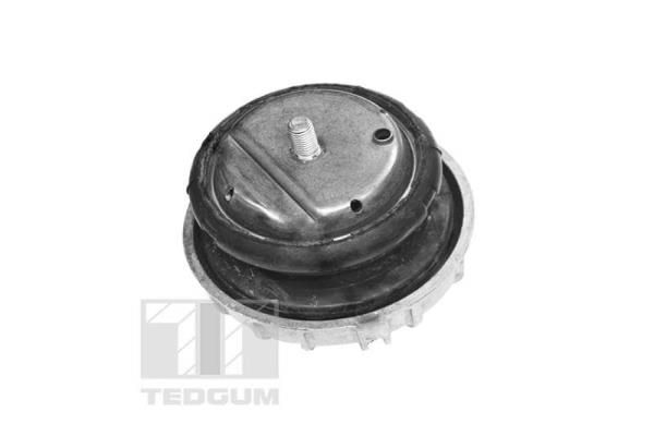 TEDGUM TED57477 Mounting, engine
