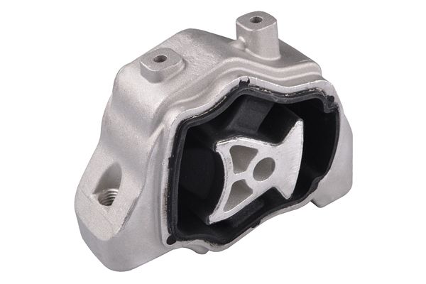 TEDGUM TED57638 Mounting, engine