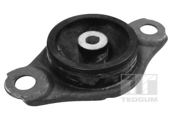 TEDGUM TED58229 Mounting, engine