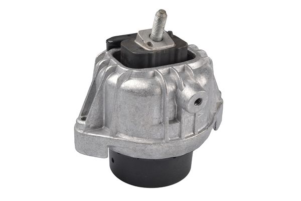 TEDGUM TED60795 Mounting, engine