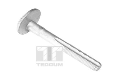 Screw TEDGUM TED61701