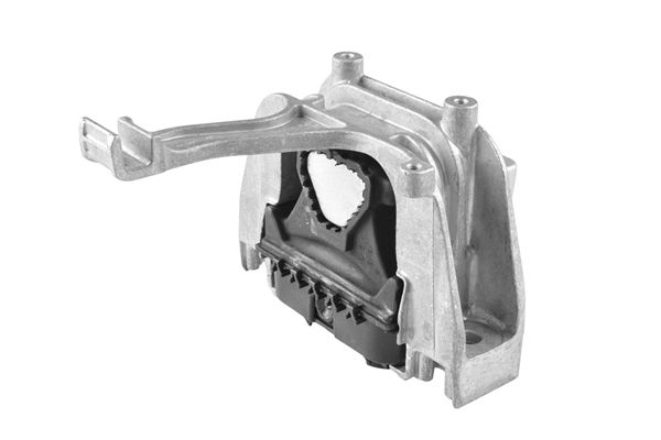 TEDGUM TED64610 Mounting, engine